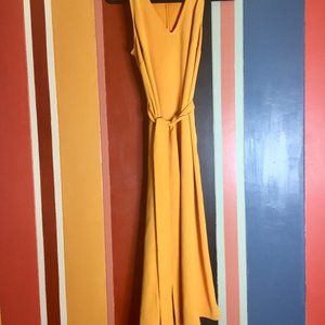 Ann Taylor Sunshine Tie Waist Midi Dress